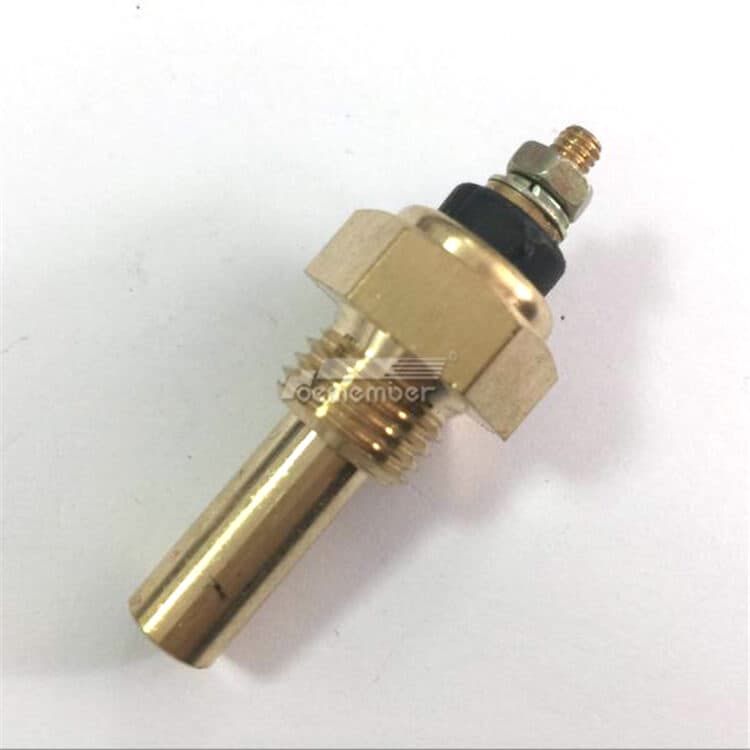 3455427717 BENZ Temperature Sensor