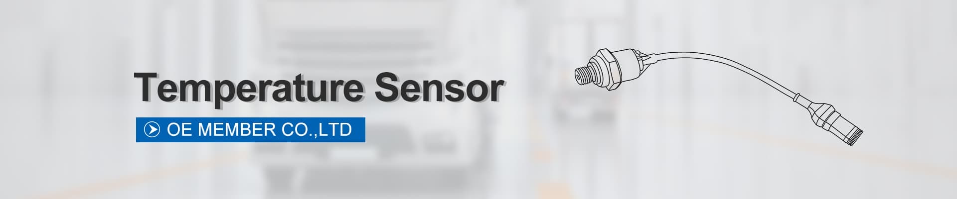 Temperature Sensor